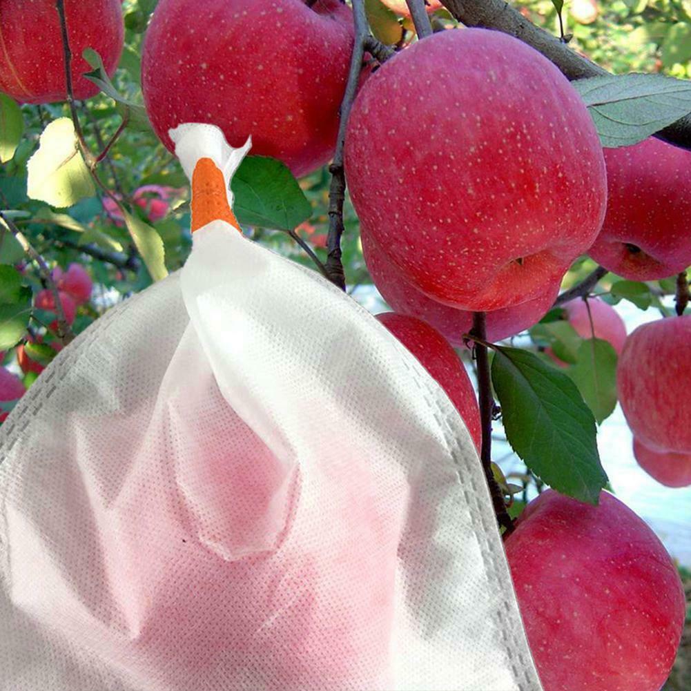 水果套袋專用PP無紡布，水果套袋專用PP無紡布的優(yōu)勢，水果套袋專用PP無紡布的好處，采購水果套袋專用PP無紡布 